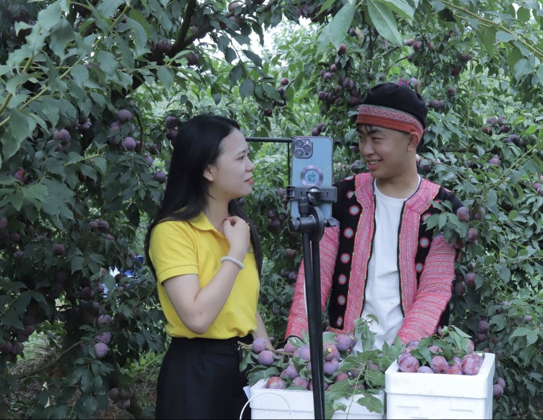 OCOP Mega Livestream: A New gateway for Son La’s farm produce